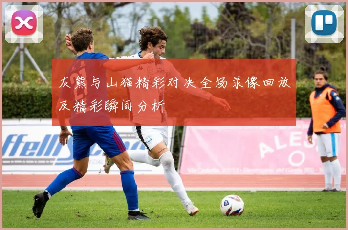 灰熊与山猫精彩对决全场录像回放及精彩瞬间分析