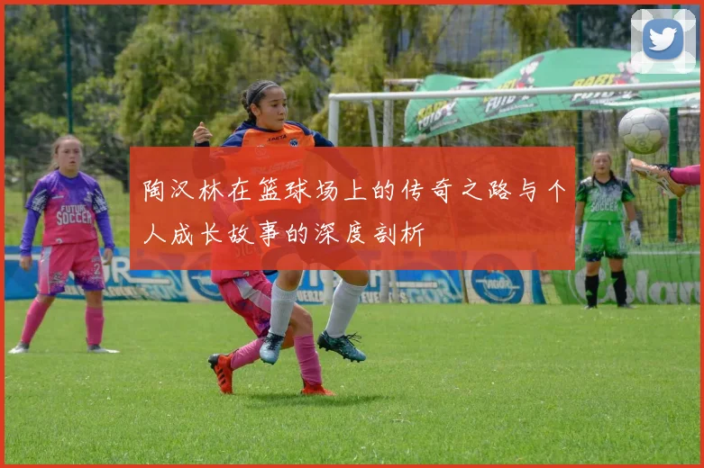 陶汉林在篮球场上的传奇之路与个人成长故事的深度剖析