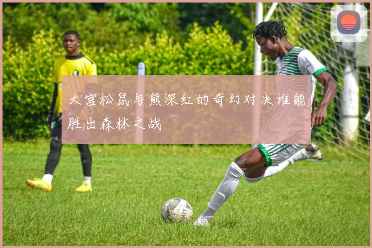 大宫松鼠与熊深红的奇幻对决谁能胜出森林之战