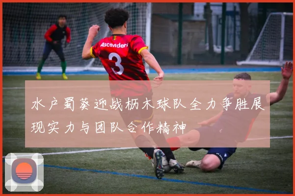 水户蜀葵迎战枥木球队全力争胜展现实力与团队合作精神