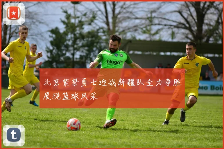 北京紫禁勇士迎战新疆队全力争胜展现篮球风采