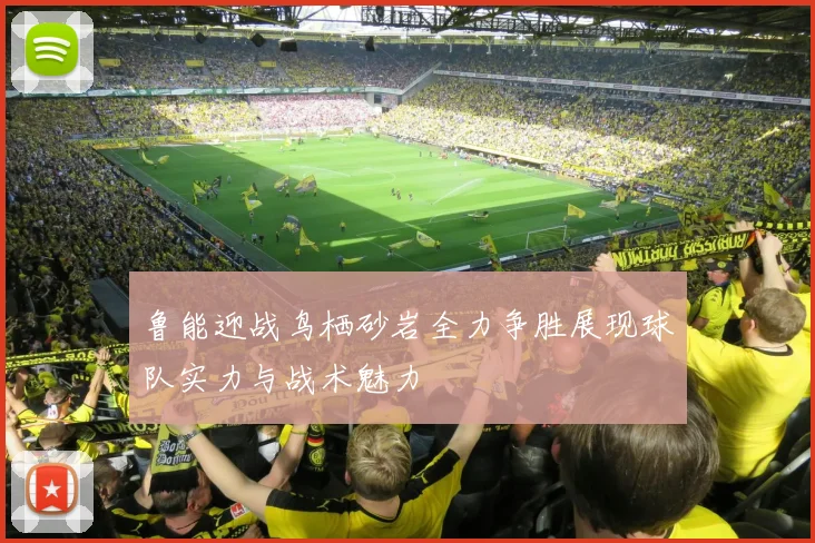 鲁能迎战鸟栖砂岩全力争胜展现球队实力与战术魅力