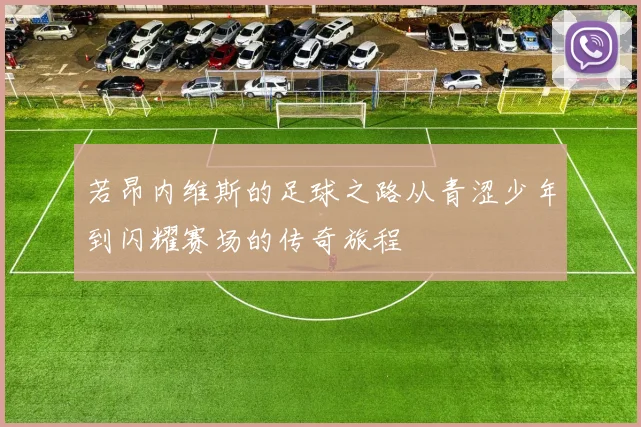 若昂内维斯的足球之路从青涩少年到闪耀赛场的传奇旅程