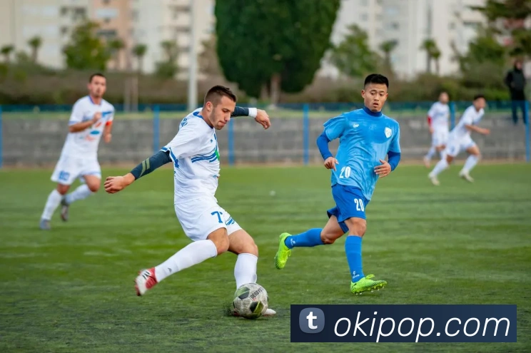 多媒体互动体验